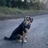 Scarlett - @scarlett.chambers4 - TikTok
