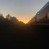 Scarlett - @scarlett.chambers6 - TikTok