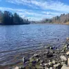 Scarlett - @scarlett.chambers7 - TikTok