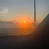 scarlett - @scarlett_collier - TikTok