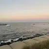 scarlettcross - @scarlett_cross - TikTok