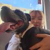 scarletdaniel - @scarletdaniel - TikTok