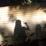 Scarlet David - @scarletdavid398 - Instagram