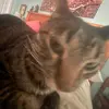 scarlett - @scarlett_deannn - TikTok
