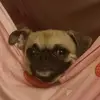 Scarlett Farley - @scarlett.farley - TikTok