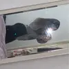 𝘚𝘤𝘢𝘳𝘭𝘦𝘵𝘰𝘰𝘰 ;) - @scarlet._.hall - TikTok