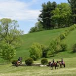 Scarlet Hill Farm - @scarlethillfarm - Instagram