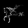 Scarlet Hill Farms RSA - @scarlet.hill.farm - TikTok