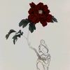 ScarletHunter - @scarlethunter17 - TikTok