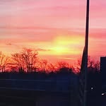 @scarlet._.johnson___ - Instagram