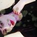 Scarlett McCready - Facebook