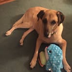 Scarlett McGee - Facebook