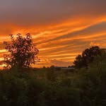 Scarlet Meadows Farm - @scarletmeadowsfarm - Instagram