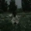 Scarlett Mitchell - @scarlett.mitchell58 - TikTok