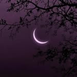 ✨🌕🌙 - @_.scarlet._.moon._ - Instagram