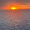 scarlet_moon123 - @scarlet_moon123 - TikTok