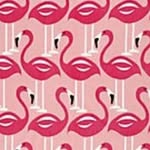 Scarletporter - @scarlet_123434 - Instagram