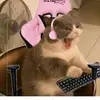 🌈Hello_your_fellow_Scarlet🎊 - @scarletramos93 - TikTok