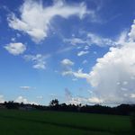 Guina Kim - @rue.scarlet.73 - Instagram