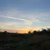 scarl - @scarlettsharp2 - TikTok