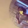 𝐬𝐜𝐚𝐫𝐥𝐞𝐭😌💆🏻‍♀️ - @scarletshaw44 - TikTok