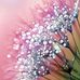 Scarlet Sims - Facebook