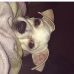 Scarlet💕yo Baby Girl - @scarlet_solis_ - Instagram