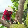scarletterry6 - @scarletterry6 - TikTok