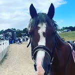 Scarlet Thomas - @scarletginge1 - Instagram