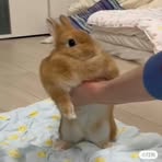 Scarlett Wang - Facebook