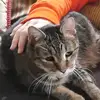 Scarlette Ward - @puppypal232 - TikTok