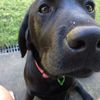 scarlett_ware - @scarlett_ware - TikTok