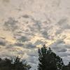 Scarlet Weaver - @scarlet.weaver - TikTok