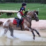 Scarlet Wright💜 - @scarlett.wright.eventing - Instagram