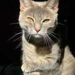 Scarlet Wright (Tiny) - @its.a.tiny.gurl - Instagram