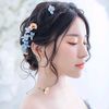 Scarlet Wu - @wjscarlet - TikTok
