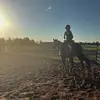♣️🎰Scarlett⚡️🪶♦️ - @scarlett.anderson456 - TikTok