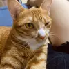 arnoldscarlett793 - @arnoldscarlett793 - TikTok