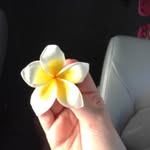 Scarlett - @_scarlett_arnold_ - Instagram