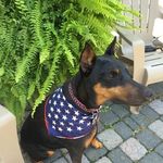 Bruce Scarlett - @bruce.scarlett.1 - Instagram