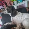 scarlett Carr - @scarlettt.carr - TikTok