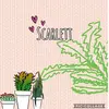 scarlett Elizabeth carr  - @scarlettcarr - TikTok