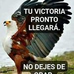 Rigo Chvez - @scarlett_chavez_ - Instagram