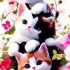 Scarlett Chavez - @scarlett.chavez75 - TikTok