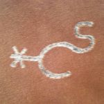 Scarlett Cherry - @cherry_brand_horses - Instagram
