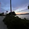 scarlettcollins07 - @scarlettcollins07 - TikTok