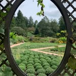 Scarlett Freeman - @humblebee_calligraphy - Instagram
