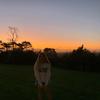 Scarlett Glover - @scarletts..secondx - TikTok