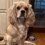 Scarlett Greer - Facebook