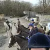 Scarlett Harrison - @scarlett_harrison - TikTok